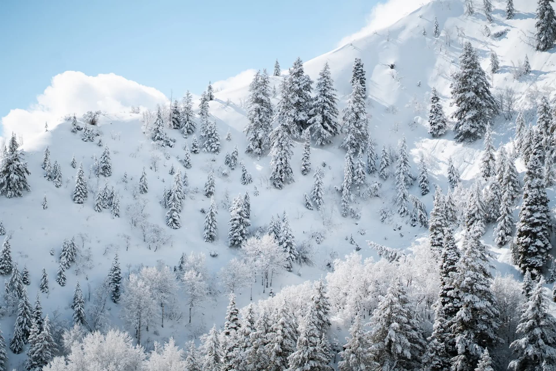 Back Mountain Terrain Expansion